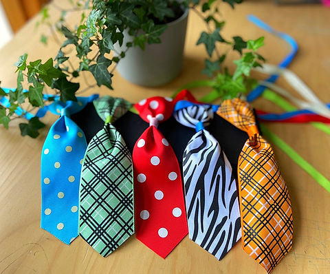 Neckties (Large) Assorted