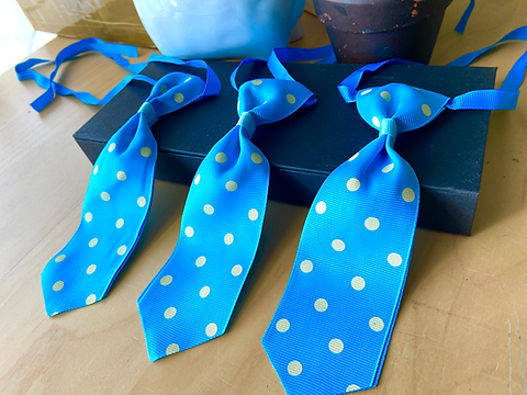 Neckties (Large) Blue Spotty