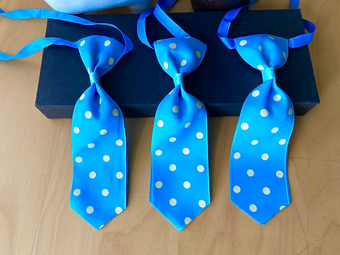 Neckties (Large) Blue Spotty